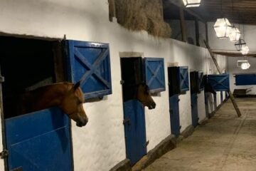 Caballeriza en Aragua